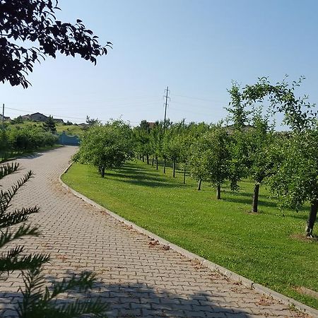 Vila Zorii Zilei Félixfürdő Szoba fotó